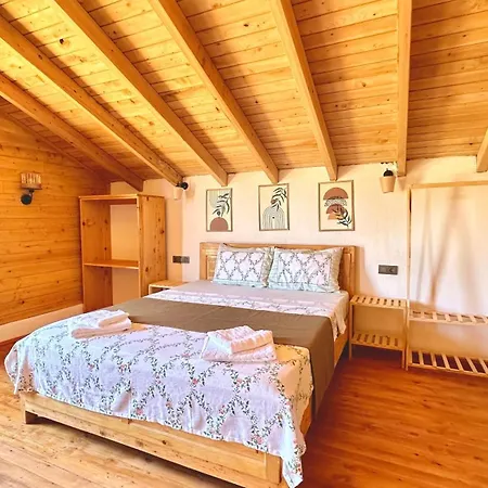 Koca Armut Villalari Kaș